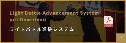 What are the (rough) requirements for progression ライトバトル進級チャート&システム